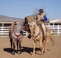 Pat Hall, Owner of Be Quick Feed and Farrier
