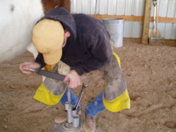 Be Quick Feed & Farrier
