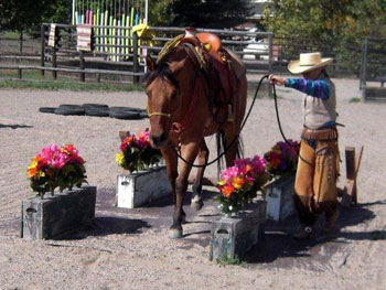 Be Quick Horseshoeing, Inc.