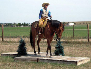 Be Quick Horseshoeing, Inc.