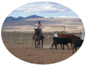 Ranch Roping at Be Quick