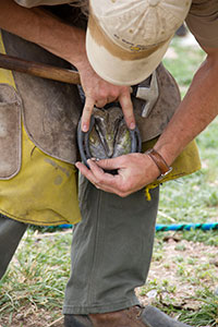 Getting the Right Fit
