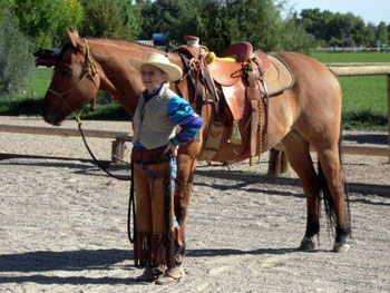 Be Quick Horseshoeing, Inc.